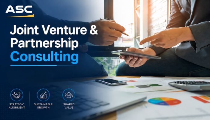 Joint Venture and Partnership Consulting